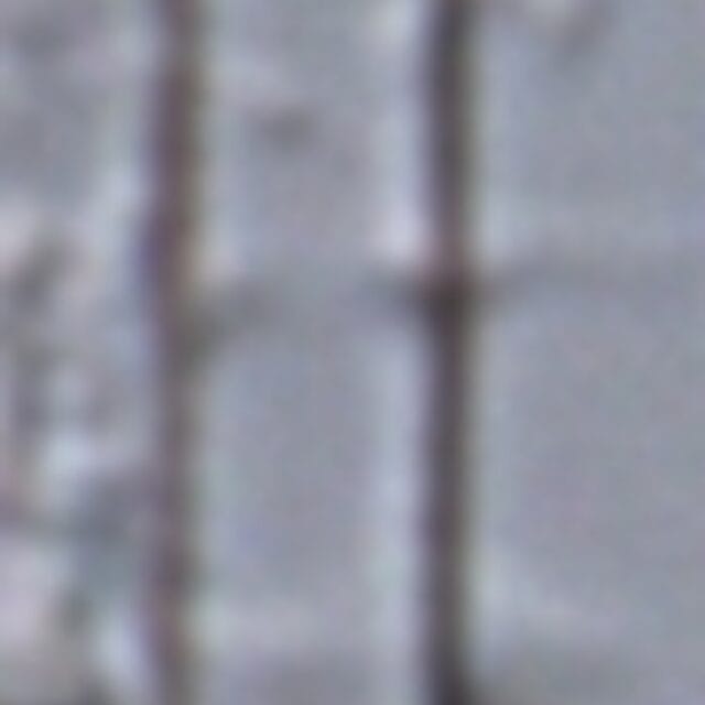 Fragilaria aquaplus LM5