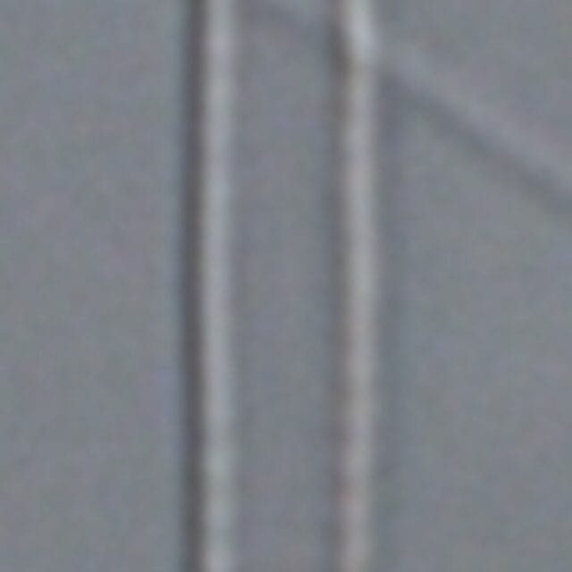 Fragilaria aquaplus LM5