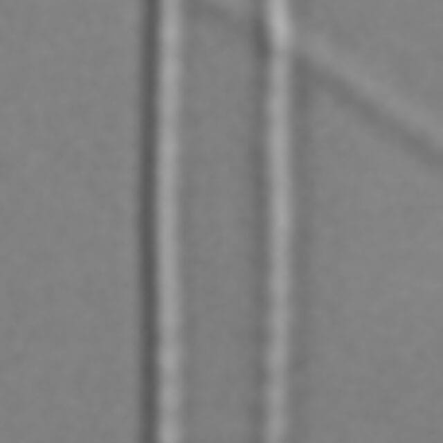 Fragilaria aquaplus LM5_2