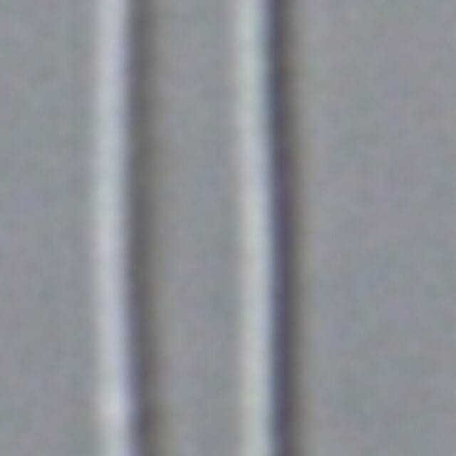 Fragilaria aquaplus LM6 042 2006 f