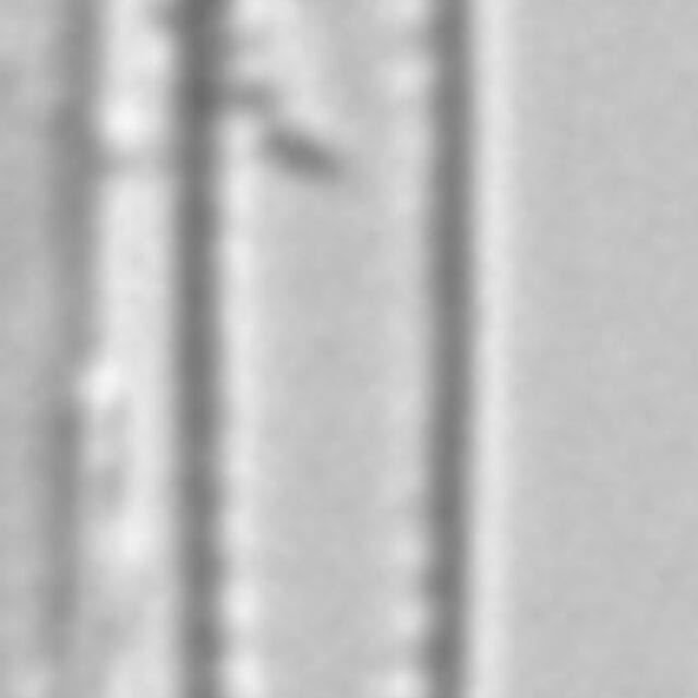 Fragilaria aquaplus LM6_2