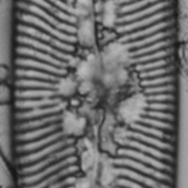 GC108629 A 11 website