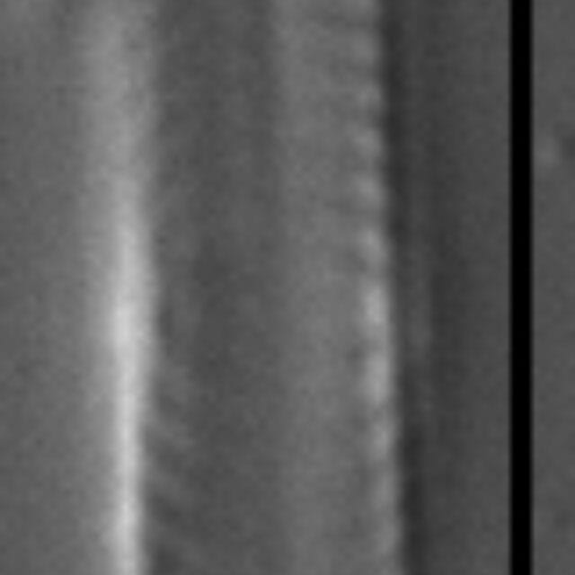 Navicula vilaplanii LM1