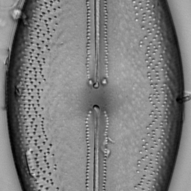 Ill 16Eileen 06062015 02 Cl