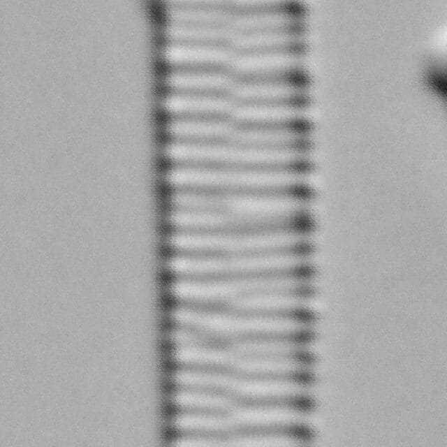 Ill2011 12  A Formosa3