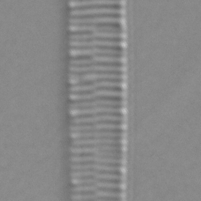 Ill2011 12  A Formosa5