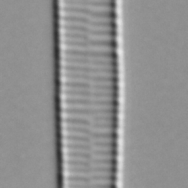 Ill2011 12  A Formosa6