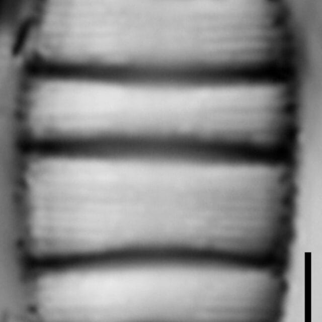 Iwb 0002 2 20170509 03 Cl