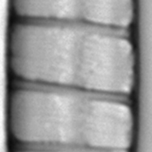 Iwb 0026 1  Dmes 0079 Clm