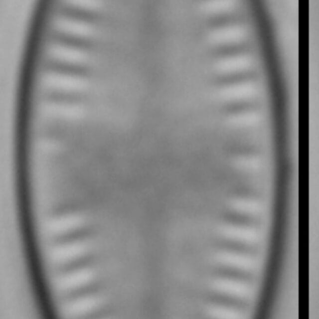 Iwb 0097 20170509 05 Cl