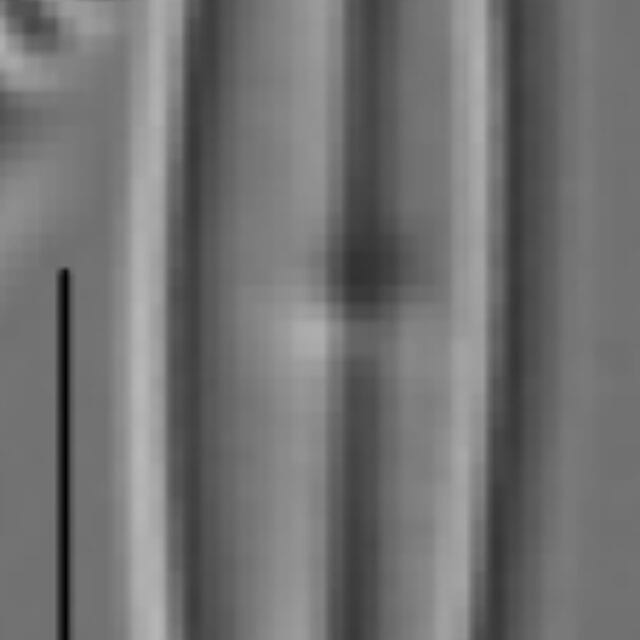 Kobayasiella tursujuqensis LM1