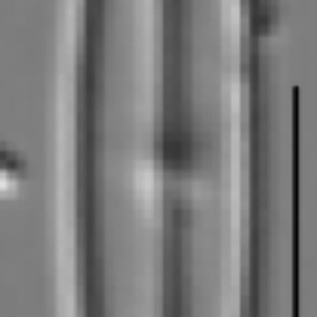 Kobayasiella tursujuqensis LM2