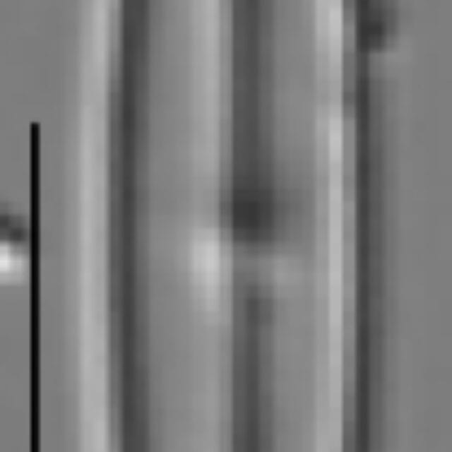 Kobayasiella tursujuqensis LM3