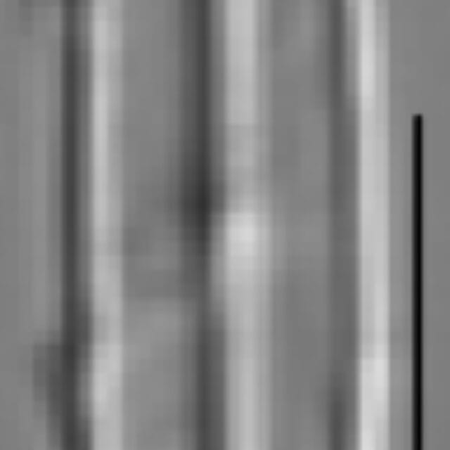 Kobayasiella tursujuqensis LM3