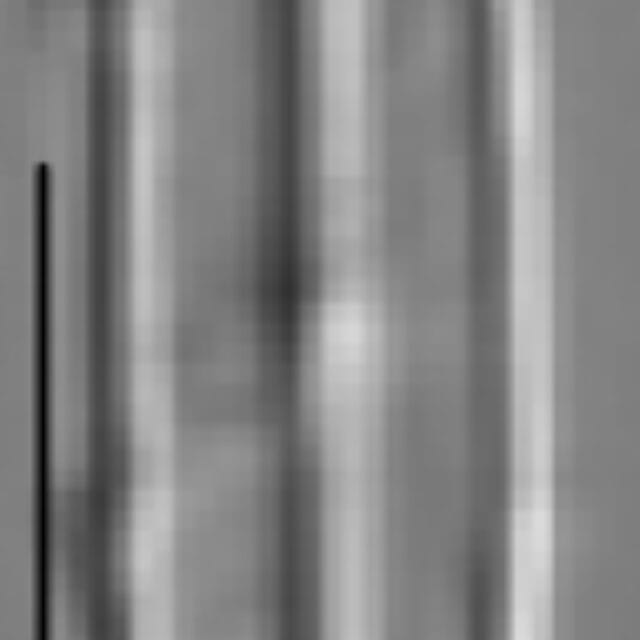 Kobayasiella tursujuqensis LM4