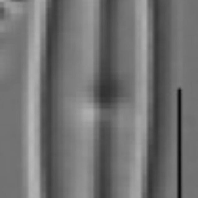 Kobayasiella tursujuqensis LM4