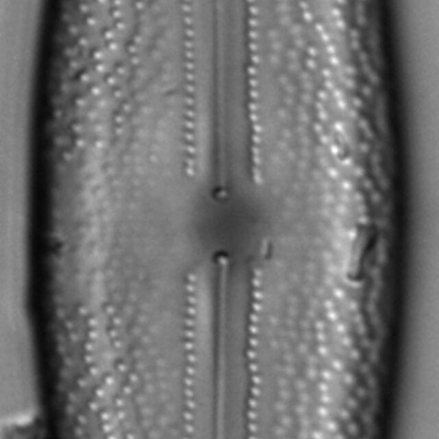 L 7 70 05292015 04 Cl