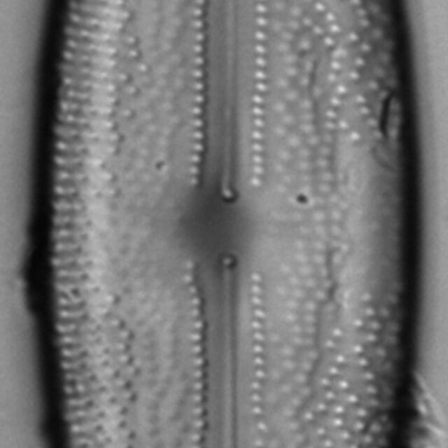 L 7 70 05292015 06 Cl