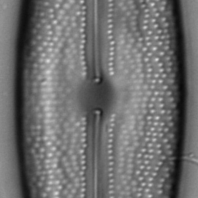 L 7 70 05292015 09 Cl