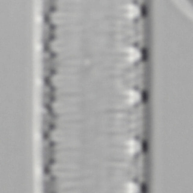 L16 63 1706 60 4 Igracilis