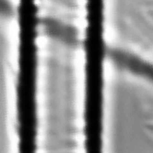 Fragilaria capucina LM6