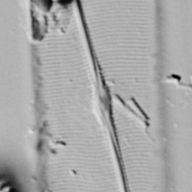 Me10042  C 012318 04