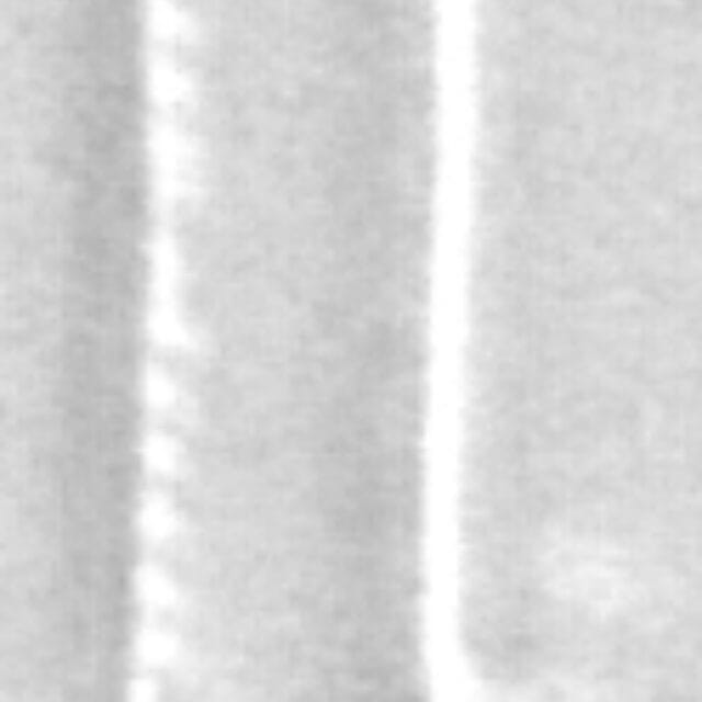 Nitzschia draveillensis LM2