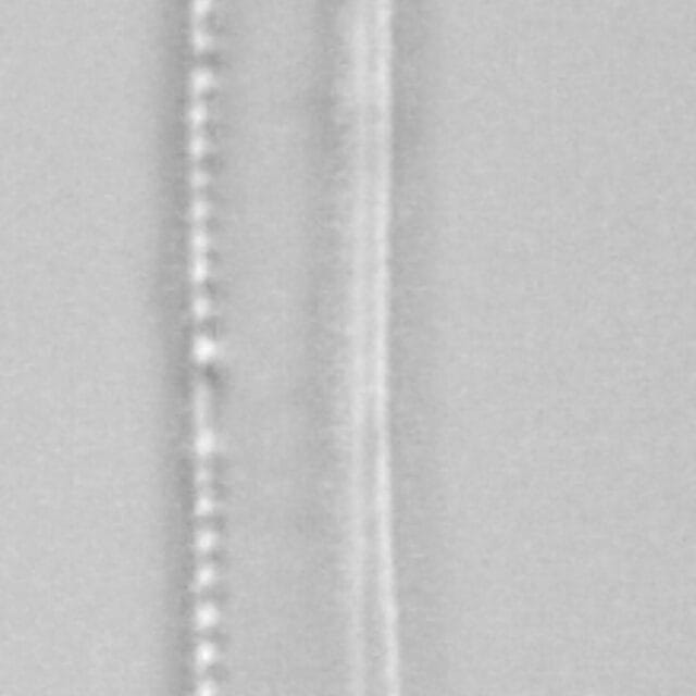 Nitzschia draveillensis LM3