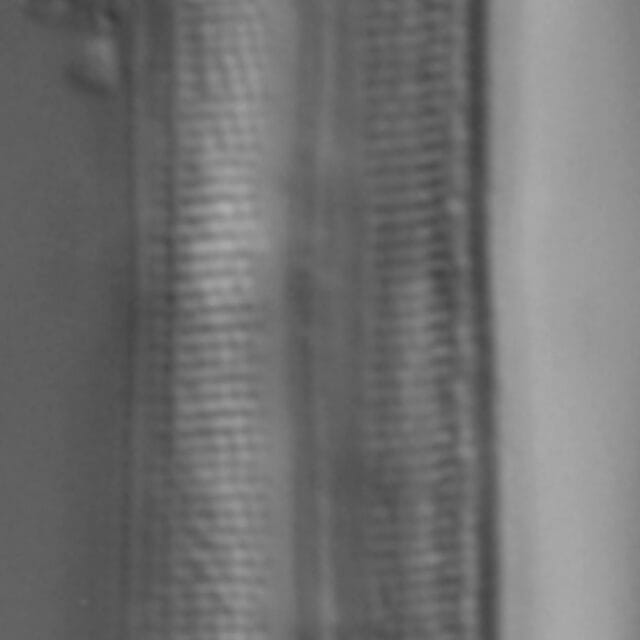 Neidium bisulcatum LM7