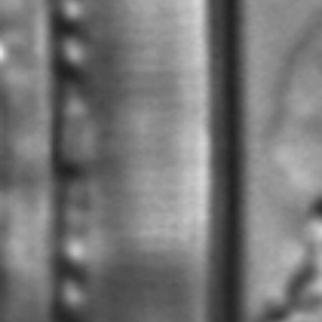 Nitzschia lacunicola LM4