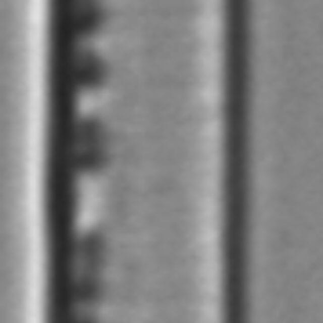 Nitzschia lacunicola LM6