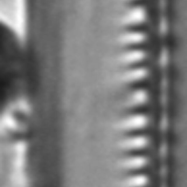 Nitzschia sublinearis LM6