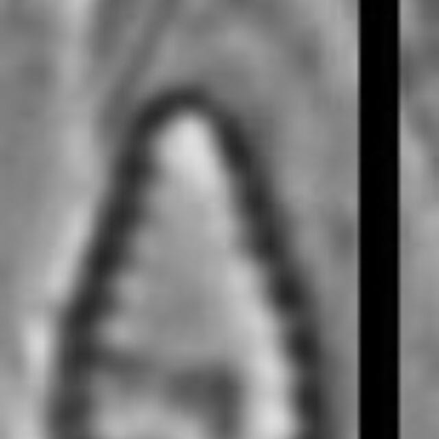 Pseudostaurosira microstriata SMM 13305b 2