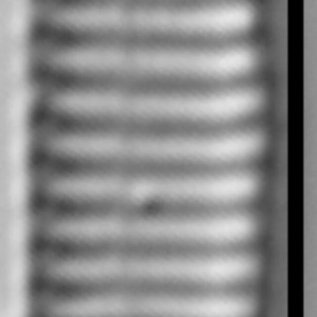 Stauroforma exiguiformis LM3