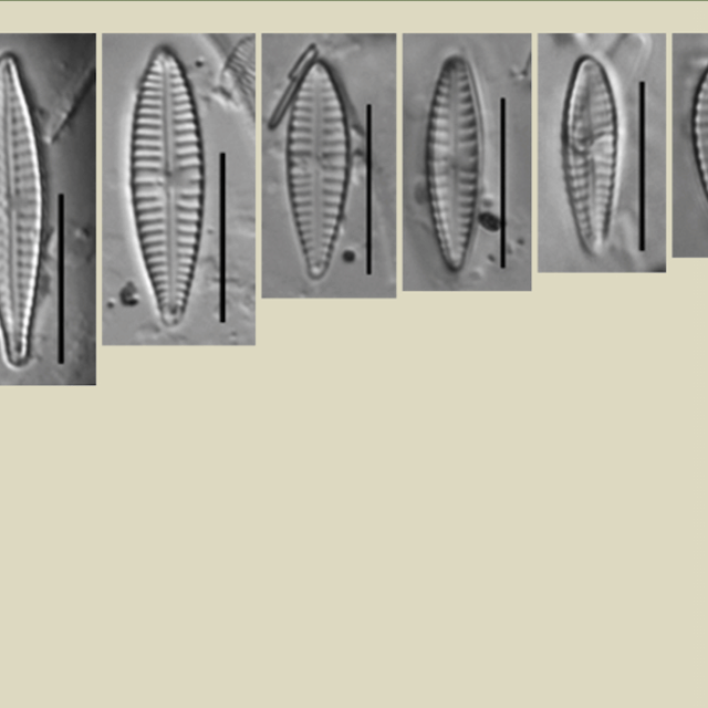 Screen Shot 2019 03 30 At 5 14 32 Pm