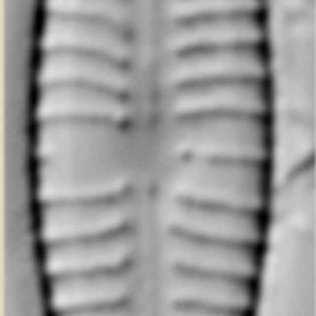 Screen Shot 2019 03 30 At 5 24 40 Pm