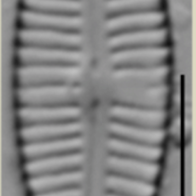 Screen Shot 2019 03 30 At 5 24 56 Pm