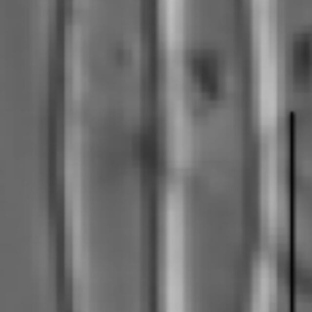 Sellaphora vincentiana LM1