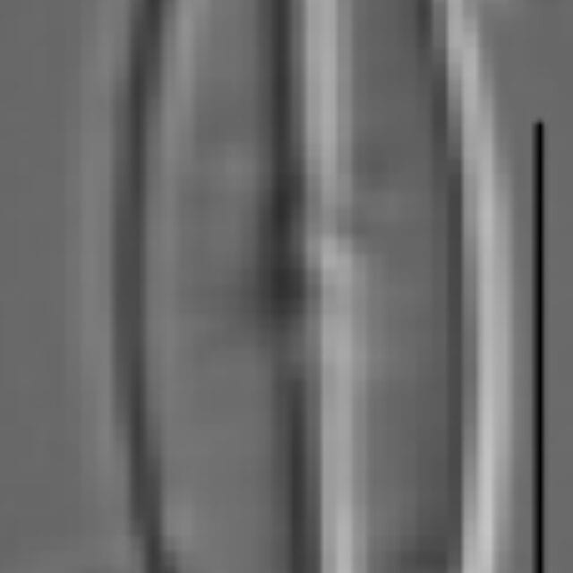 Sellaphora vincentiana LM2