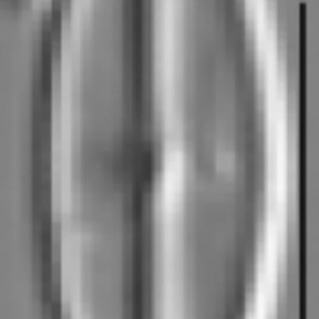 Sellaphora vincentiana LM3