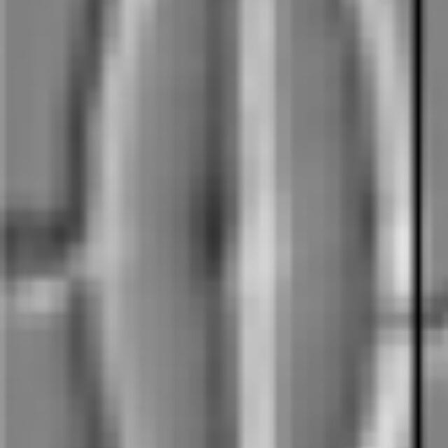 Sellaphora vincentiana LM4