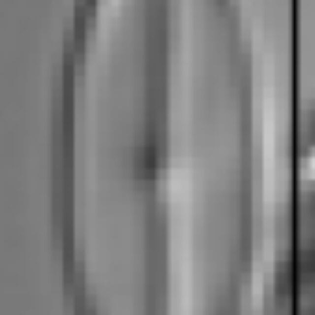 Sellaphora vincentiana LM5