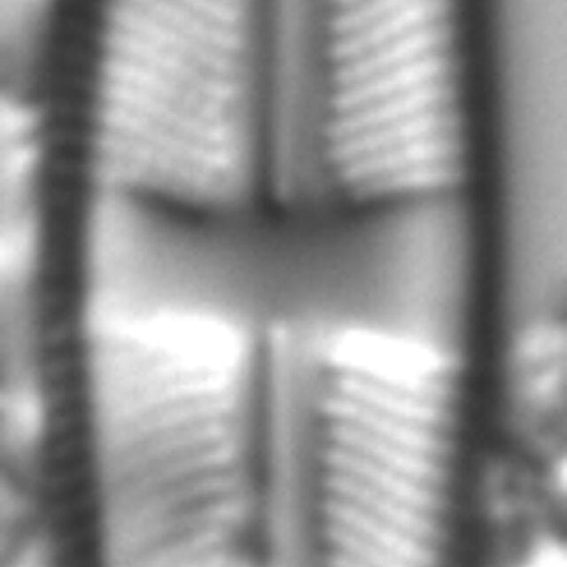 Stauroneis pseudagrestis LM6