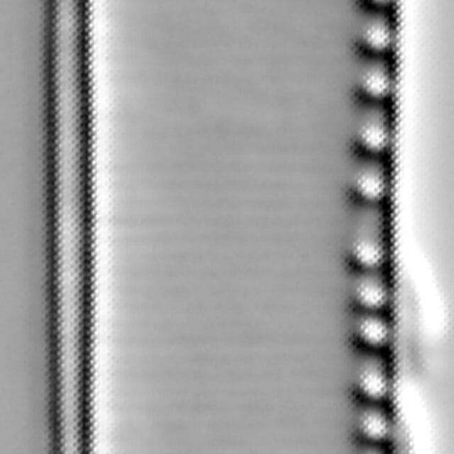 Nitzschia balcanica LM4