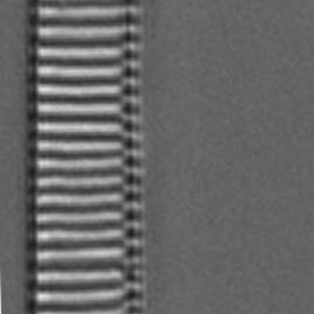 Eunotia Naegelii Long Iii