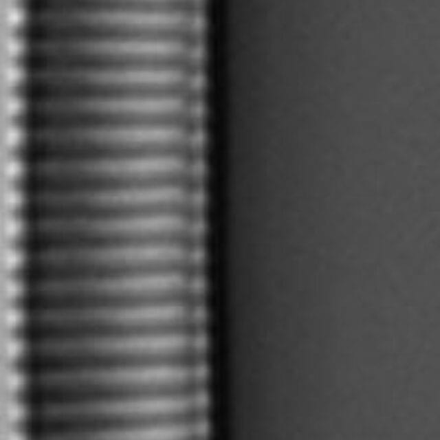 Eunotia Naegelii Short