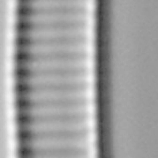 Eunotia Paludosa Mid Ic