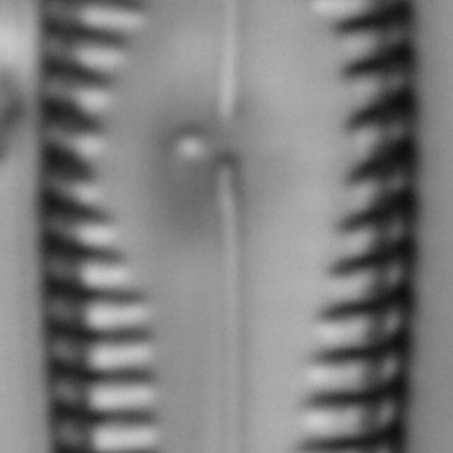 G Amerhombicum  A Isotype 20170301 18 Cl