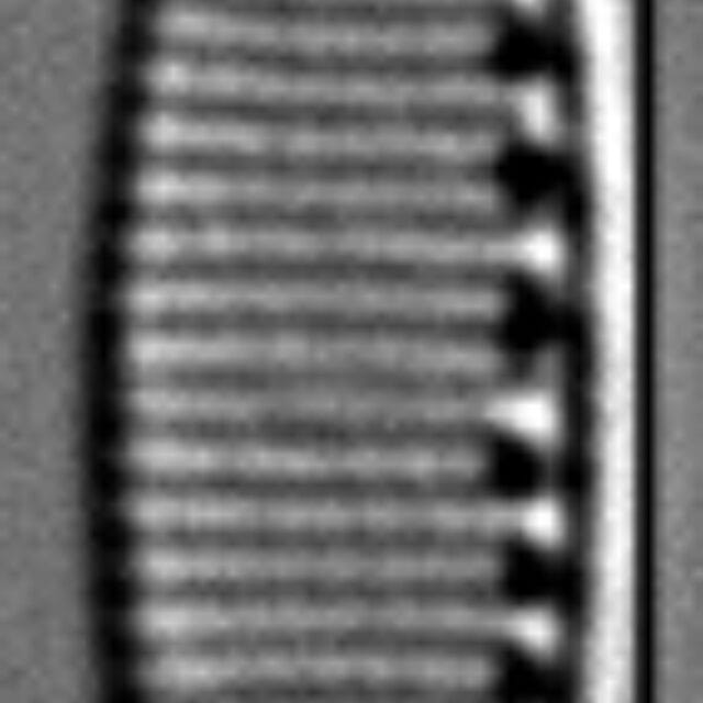 Liebetruthii Gc106965H002