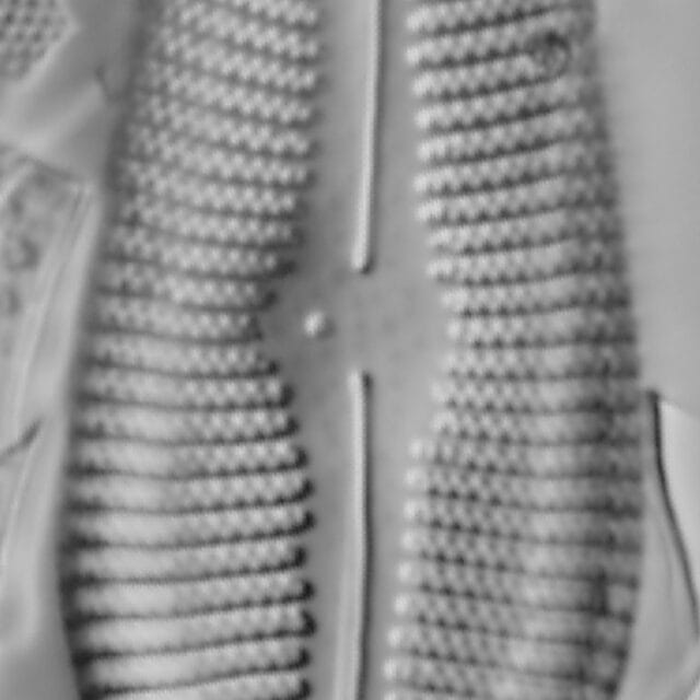 Gomphoneis herculeana var. lowei LM3